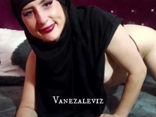 Vanezaleviz