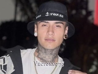 Vectorx073
