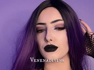 Venenadivina