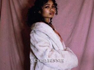 Venus2bunnie