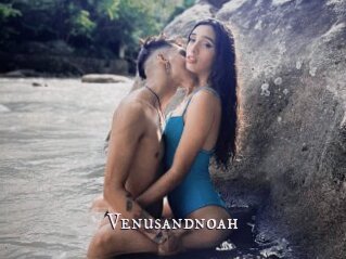 Venusandnoah
