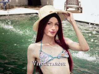 Viioletarose