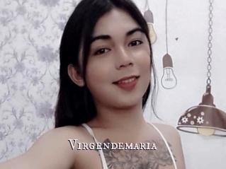 Virgendemaria