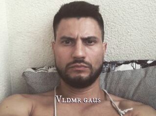 Vldmr_gaus