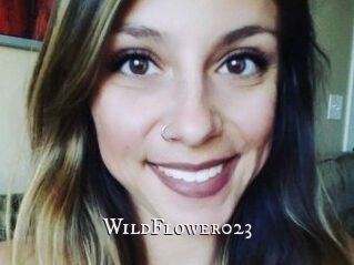 WildFlower023