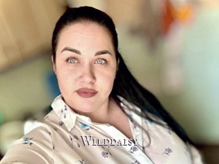 Wilddaisy