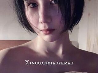 Xingganxiaoyemao