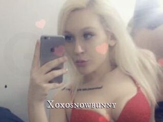 Xoxosnowbunny