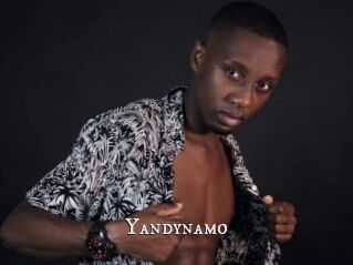 Yandynamo