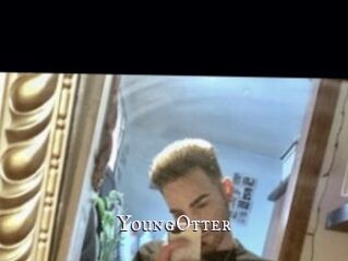 YoungOtter
