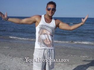 YourHotStallion