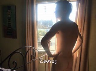 Zboy23