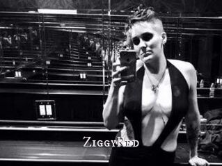 ZiggyRed