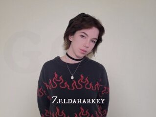 Zeldaharkey