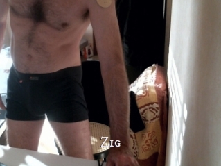 Zig
